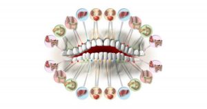 Each Tooth Is Associated with an Organ in the Body – Pain in Each Tooth Can Predict Problems in Certain Organs