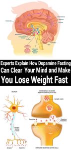 Experts Explain How Dopamine Fasting Can Clear Your Mind And Make You ...